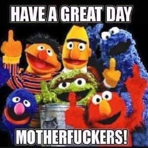 Meet your Posher, Steven